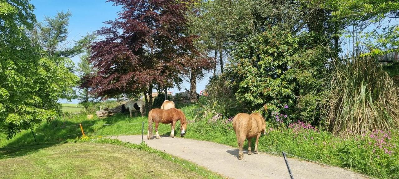 No 4 Trelawney Apartment - Onsite Bar - Restaurant - Horse Riding Menheniot Luaran gambar
