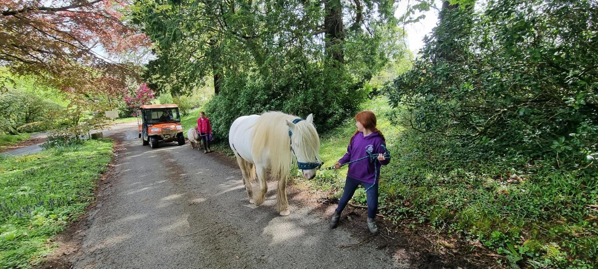 No 4 Trelawney Apartment - Onsite Bar - Restaurant - Horse Riding Menheniot Luaran gambar
