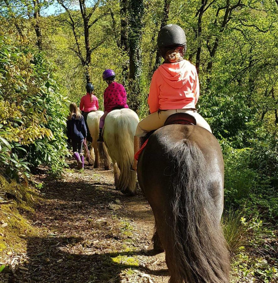No 4 Trelawney Apartment - Onsite Bar - Restaurant - Horse Riding Menheniot Luaran gambar
