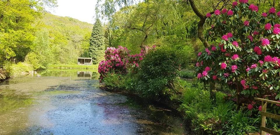 No 4 Trelawney Apartment - Onsite Bar - Restaurant - Horse Riding Menheniot Luaran gambar